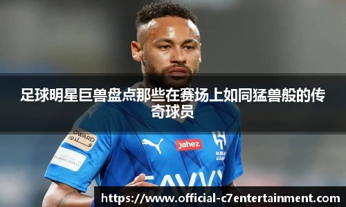 足球明星巨兽盘点那些在赛场上如同猛兽般的传奇球员